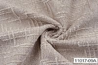 A11017-009