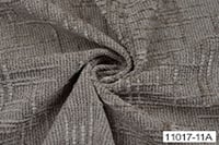 A11017-011