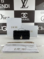 ديور ميني شايني