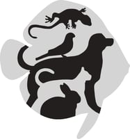 store avatar
