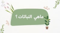ماهي النباتات ؟
