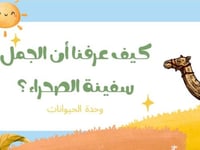 كيف عرفنا أن الجمل سفينة الصحرااء؟