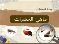 ماهي الحشرات ؟