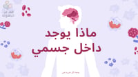 ماذا يوجد بداخل جسمي ؟