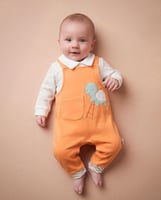 افارول بيبي ميلتون مطرز سلحفاء علي السلم + كنزة مي...