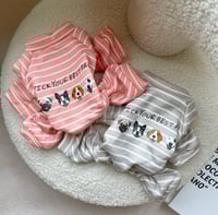 ملابس للقطط والكلاب الوان ومقاسات مختلفه