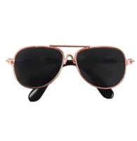 نضارة شمسية لقطط والكلاب اطار دائري