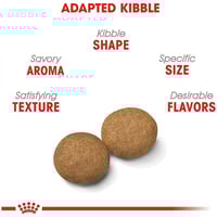 رويال كانين ميديوم ادولت طعام جاف للكلاب البالغة 1...