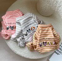 ملابس للقطط والكلاب الوان ومقاسات مختلفه