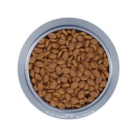 رويال كانين بيرشن طعام جاف للقطط الفارسية 4 ك