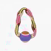 لجام تدريب للكلاب