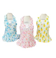 ملابس قطط الوان زاهيه