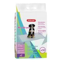 زولكس فوط تدريب نونية