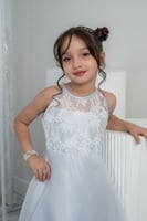 فستان سهرات اورجينزا بتطريز بالصدر S01164