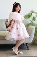 فستان ماكسي مورد S01114