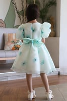 فستان ماكسي مورد S01114