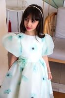 فستان ماكسي مورد S01114