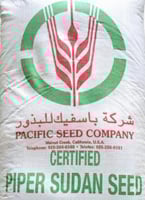 بذور ذرة بايبر كيلو