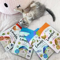 تركيبة السلمون مع التورين وأوميغا 3 لدعم البصر وال...