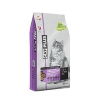 وصفة الدجاج والأنشوفة حماية من مشاكل التعقيم للقطط...