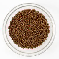 تركيبة السلمون مع التورين وأوميغا 3 لدعم البصر وال...