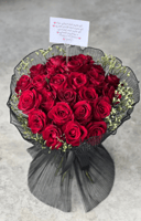 الاحمر الأنيق | Elegant Red