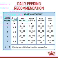 رويال كانين حليب جاف بودرة للكلاب حديثة الولادة بد...