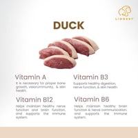 ليون ليونيست - وجبات ومكافآت صحية لحم بط صحي مجفف...