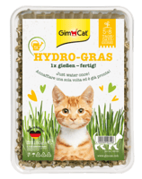 جيم كات هايدرو غراس - عشب مائي للقطط جاهز للزراعة...