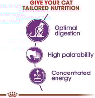 رويال كانين طعام جاف سنسيبل للقطط البالغة