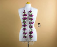 عقد زهرة تخرج بالاسم