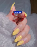 خاتم التاريخ