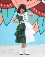 فستان الأناقة أخضر