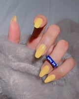 خاتم التاريخ