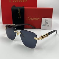 نظارة كارتير الجديدة