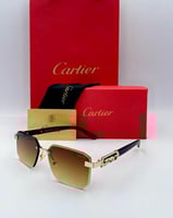 نظارة كارتير الجديدة