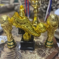 مجسم كاس العالم ارتفاع 21 سم مع سجل البطولات