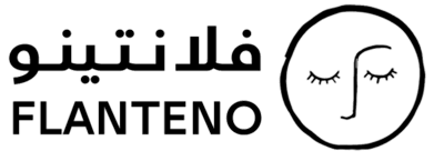 فلانتينو اكبر صالة عرض اقتصادية بالجملة Logo
