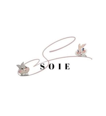SOIE logo