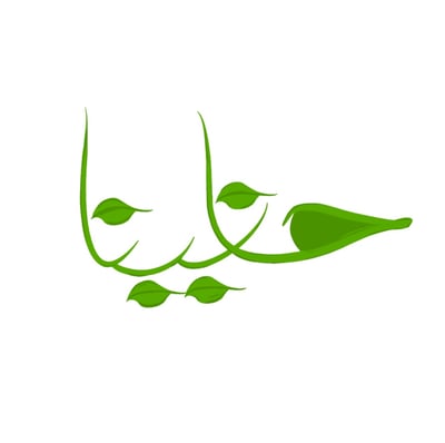 حنا نينا logo