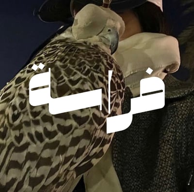 فراسة الوجوة | تحليل الشخصيات logo