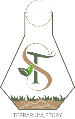 terrarium story logo