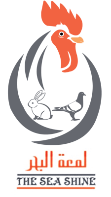 شركة لمعة البحر للتجاره logo
