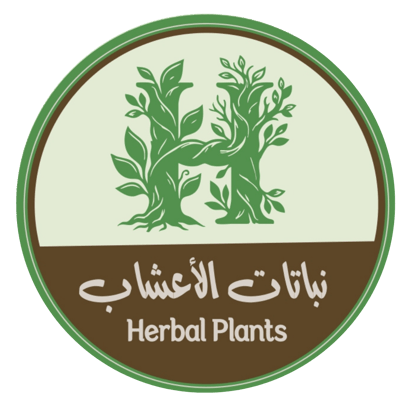 عطارة نباتات الأعشاب logo