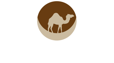 Camel Technologies logo