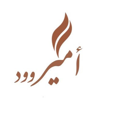 أمير وود logo