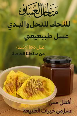 مناحل العساف لبيع النحل والعسل البلدي logo