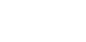 ZOE logo