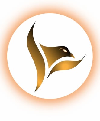 صقر بلس logo