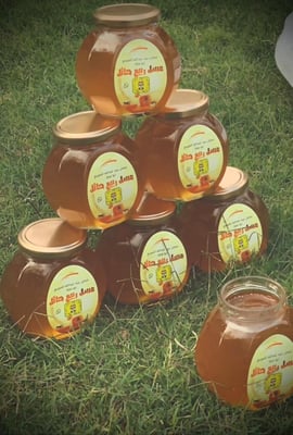 ربيع حائل logo